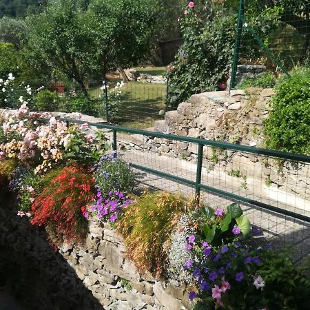 La Casa Di Piera Nel Parco Di Portofino Villa San Martino di Noceto Kültér fotó