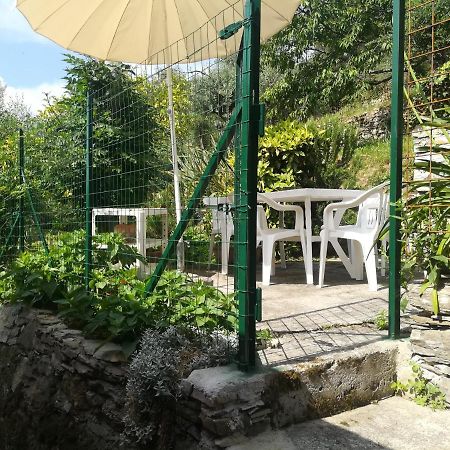 La Casa Di Piera Nel Parco Di Portofino Villa San Martino di Noceto Kültér fotó