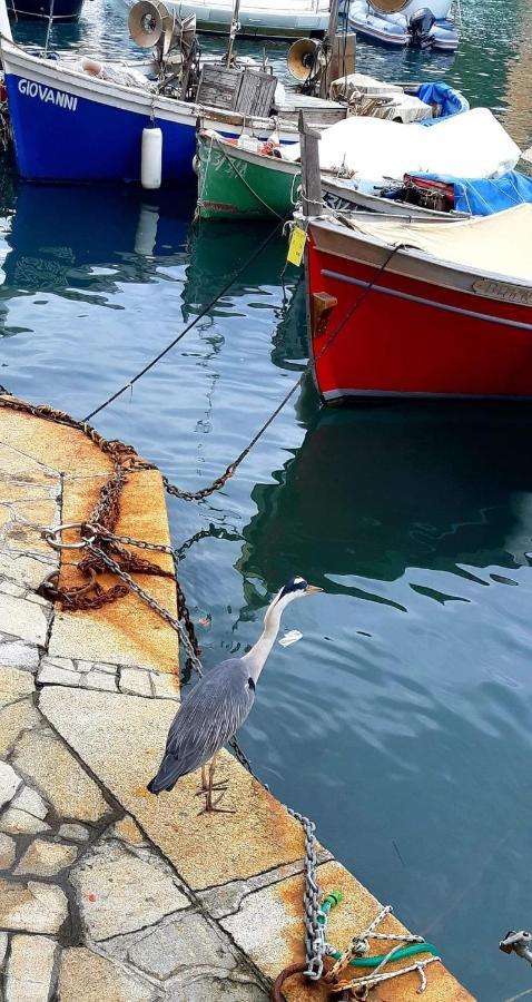 La Casa Di Piera Nel Parco Di Portofino Villa San Martino di Noceto Kültér fotó