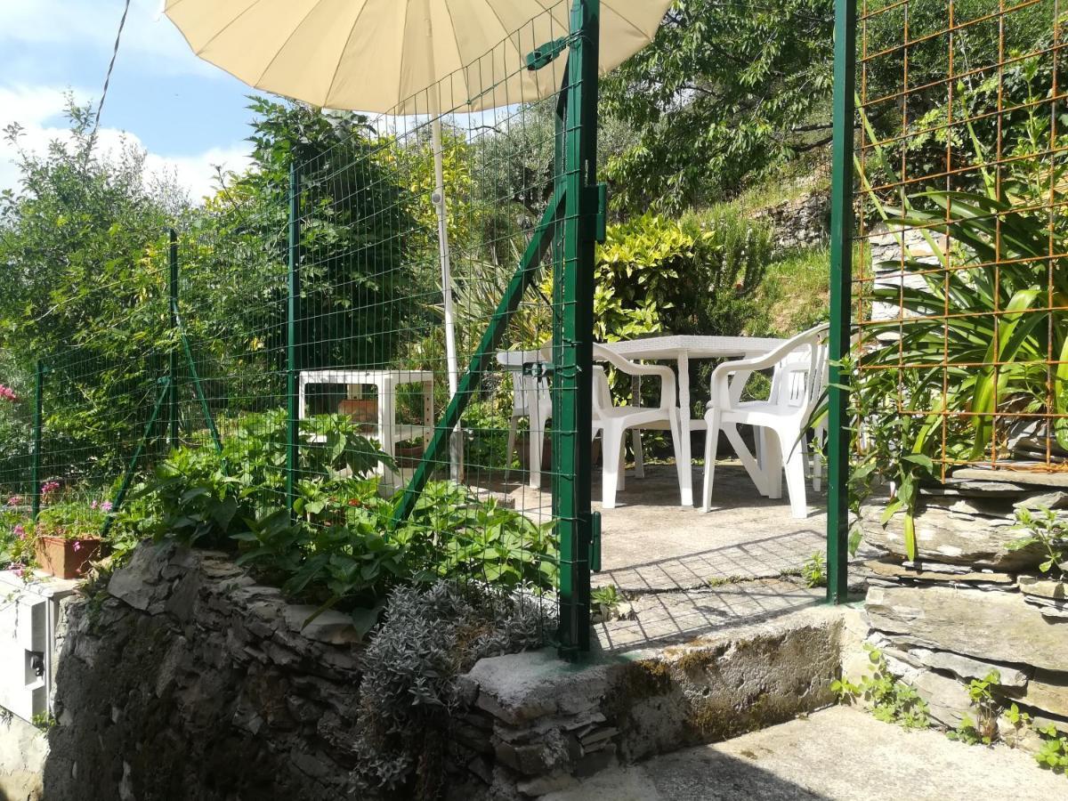 La Casa Di Piera Nel Parco Di Portofino Villa San Martino di Noceto Kültér fotó