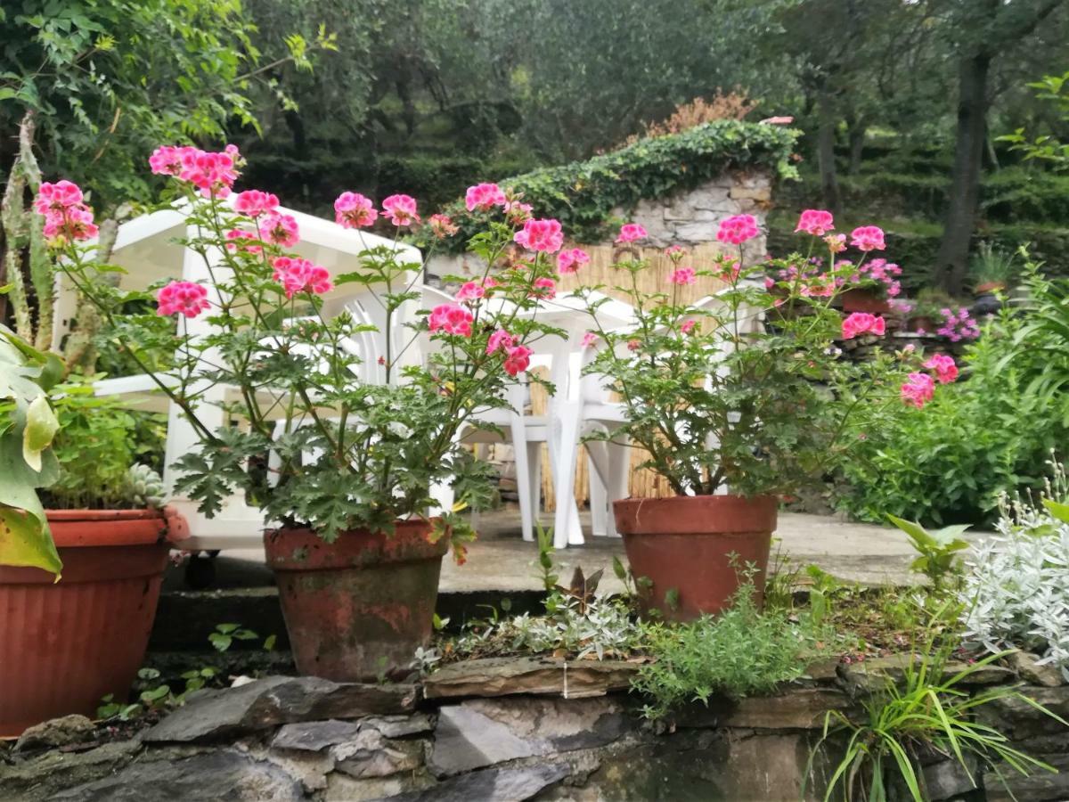 La Casa Di Piera Nel Parco Di Portofino Villa San Martino di Noceto Kültér fotó